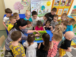 Всемирный день черепахи в группе «Белочка» Всемирный день черепахи в группе «Белочка».