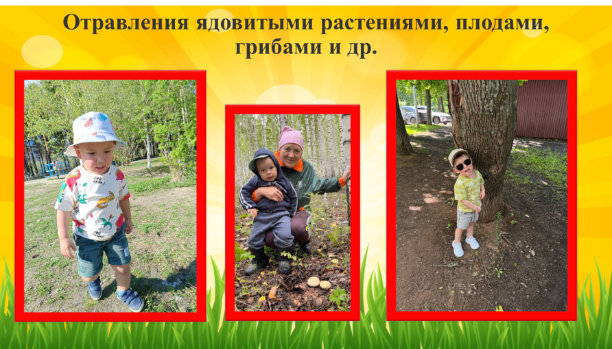 Безопасное лето в детском саду Безопасное лето в детском саду.